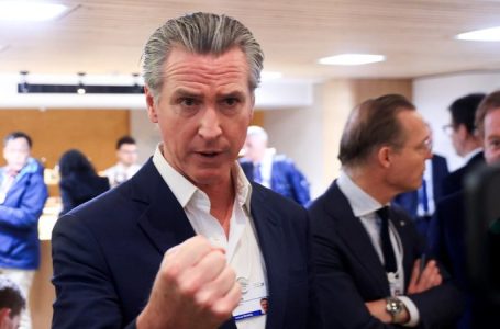 Newsom warns ‘pathetic’ foreign leaders to grow a backbone in bizarre takedown likening Trump to a T.rex