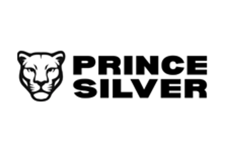  Strong Initial Silver-Gold-Manganese Mineralization at Prince Silver Project