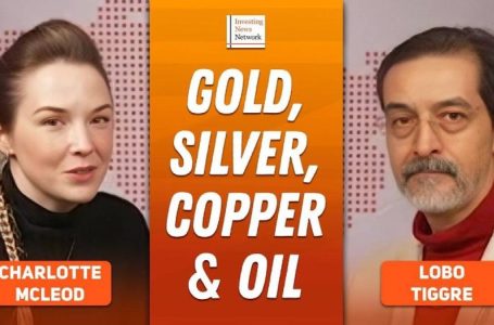 Lobo Tiggre: Gold, Silver Hit Record Highs, Next “Buy Low” Sector