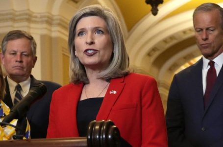 EXCLUSIVE: Senate bill targets Minnesota-style ‘runaway fraud’ to force scammers to repay taxpayers