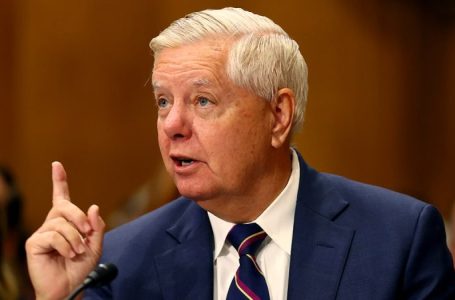 Lindsey Graham calls for US to use ‘any means necessary’ to stop the people behind the killing of Iranians