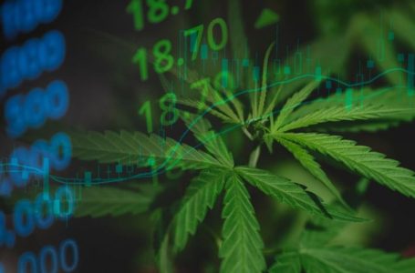 Cannabis Market 2025 Year-End Review