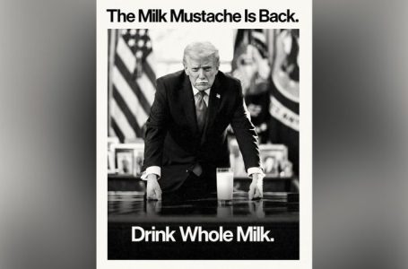 Trump to tear up Obama-era school lunch rules blocking whole, 2% milk