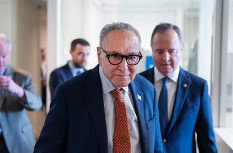 Senate Democrats rebel against their own leadership over DHS funding package, increasing shutdown odds