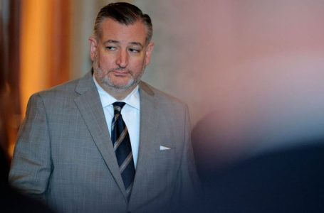 Ted Cruz urges US to arm Iranian protesters as militias threaten ‘total war’ against America