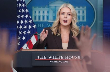 US used sonic weapon on Venezuelan troops, report shared by Leavitt claims