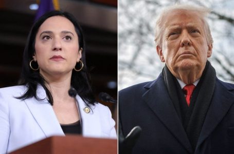 House Democrat calls Trump ‘extremely mentally ill’ after Greenland remarks, urges 25th Amendment removal