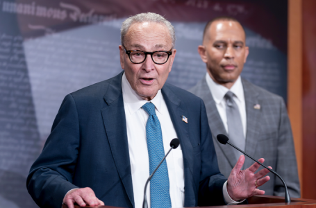 Republicans shred ‘nonsense’ Dem claims against Trump-backed voter ID bill