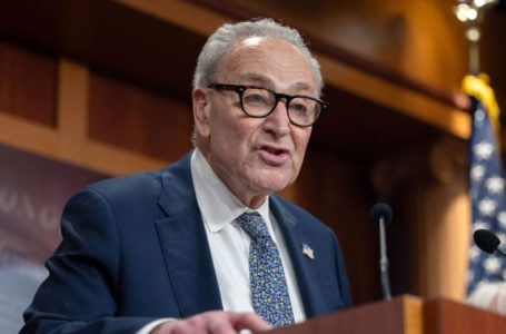 Schumer faces backlash after calling SAVE Act ‘Jim Crow’ despite previous allegation falling flat