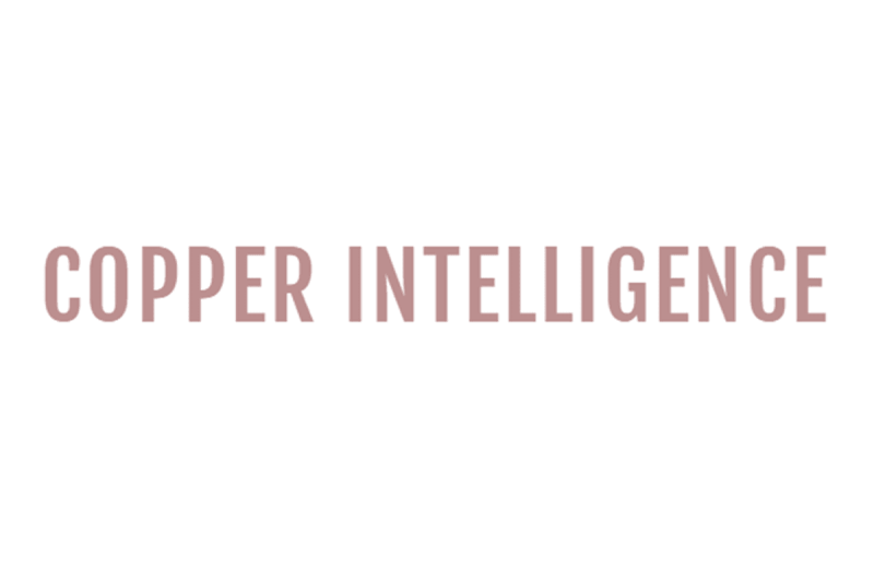  “Copper Intelligence” (AFDG) to Present at the Emerging Growth Conference on February 26, 2026 EST.