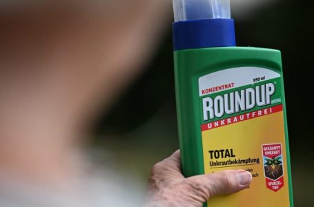 RFK Jr defends Trump move to protect pesticide he tied to ‘chronic disease epidemic’