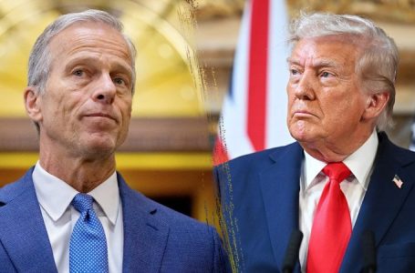 Republicans, Trump run into Senate roadblock on voter ID bill