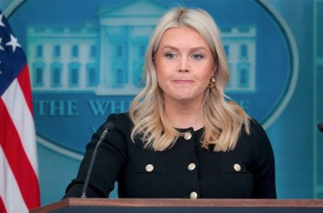 Leavitt scoffs at reporter who questioned when Trump has been ‘falsely called racist’: ‘You’re kidding?’