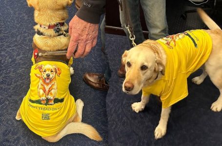 Rep Randy Fine to bring 4-legged guest Sadie to Trump’s State of the Union amid backlash over X post