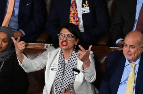 ‘Squad’ member wears ‘F— ICE’ pin on House floor during Trump address