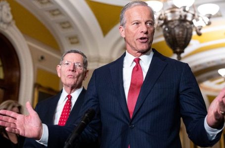 Schumer, Dems’ goal is to ‘tie people down’ so they can’t campaign, Thune says