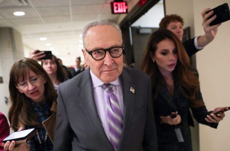 Republicans warn Democrats’ ICE reform push is cover to defund border enforcement