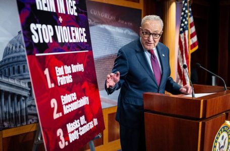 Schumer, Dems again block DHS funding, force State of the Union showdown