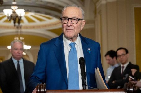 Schumer says Dems will fight voter ID push ‘tooth and nail,’ balks at DHS role in elections