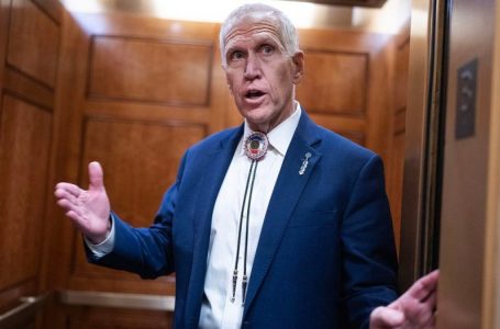 MIKE DAVIS: Red-state senators must pick up the pace to get Trump judges confirmed