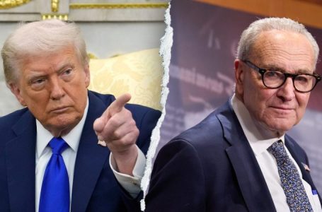 Shutdown averted for now, but Senate warns DHS fight could trigger another in days