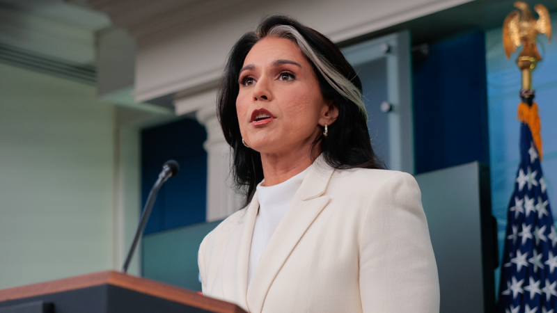  Tulsi Gabbard denies wrongdoing over delayed whistleblower complaint referral to Congress members: ‘Baseless’