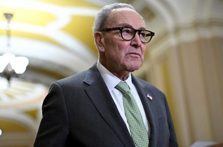 Schumer once blocked Trump’s move to fill the nation’s oil reserves, now he wants them opened