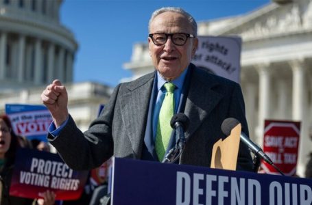 Schumer, Democrats say they support voter ID, then block GOP amendment to require it