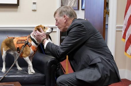 GOP targets transgender animal testing in defund demand to NIH