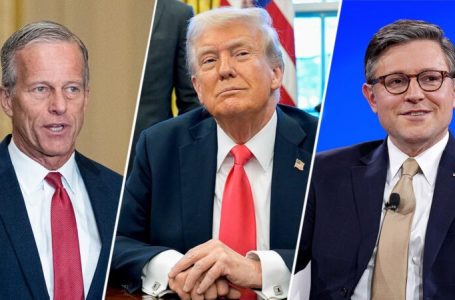 Trump calls for second ‘big, beautiful bill’ to fund ICE on his desk by June 1